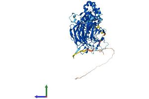 AlphaFold protein structure predicition of Mouse Recombinant Klhl6 Protein, UniprotID Q6V595