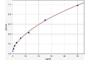 ADCY1 ELISA Kit