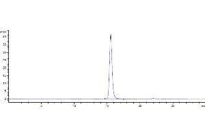 The purity of Anti-CD47 Reference Antibody (lemzoparlimab) is 100 % , determined by SEC-HPLC. (Recombinant CD47 (Lemzoparlimab Biosimilar) antibody)