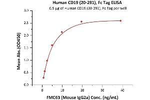 Immobilized Human CD19 (20-291), Fc Tag, low endotoxin (Super affinity) (ABIN6253203,ABIN6253523) at 5 μg/mL (100 μL/well) can bind FMC63 (Mouse IgG2a) with a linear range of 0. (CD19 Protein (AA 20-291) (Fc Tag))