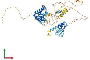 AlphaFold protein structure predicition of Human Recombinant NOVA2 Protein, UniprotID Q9UNW9 (NOVA2 Protein (AA 1-492) (His tag))
