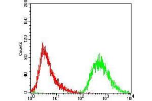 Flow cytometric analysis of A431 cells using PDK2 mouse mAb (green) and negative control (red). (PDK2 antibody  (AA 178-404))