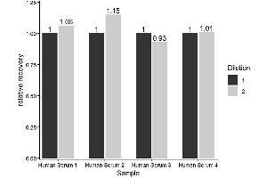 The ST/5-HT (Serotonin/5-Hydroxytryptamine) ELISA Kit was tested for linearity of dilution by using different dilutions of appropriate samples and testing for recovery using the SOP. (Serotonin ELISA Kit)
