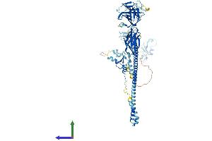 Protein Structure (PS) image for Midline 1 (MID1) (AA 1-680) protein (His tag) (ABIN7562580)