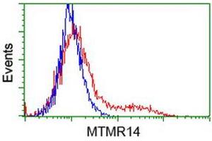 HEK293T cells transfected with either RC207732 overexpress plasmid (Red) or empty vector control plasmid (Blue) were immunostained by anti-MTMR14 antibody (ABIN2453860), and then analyzed by flow cytometry. (MTMR14 antibody)