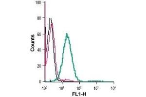 Cell surface detection of CD73 in live intact human Jurkat T-cell leukemia cells: (black line) Cells. (CD73 antibody  (Extracellular, N-Term))