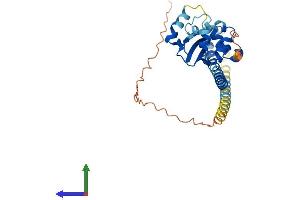 Protein Structure (PS) image for Testis Specific Protein, Y-Linked 3 (TSPY3) (AA 1-308) protein (His tag) (ABIN7544833)