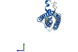 AlphaFold protein structure predicition of Human Recombinant VKORC1L1 Protein, UniprotID Q8N0U8 (VKORC1L1 Protein (AA 1-176) (His tag))