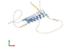 Protein Structure (PS) image for B-Cell CLL/lymphoma 3 (BCL3) (AA 1-448) protein (His tag) (ABIN7556427)