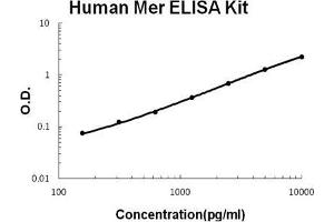 Human Mer PicoKine ELISA Kit standard curve