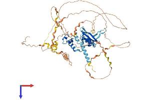 Suppressor of Cytokine Signaling 7 (SOCS7) (AA 1-579) protein (His tag)
