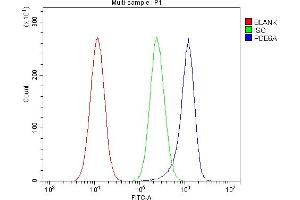 Flow Cytometry analysis of A549 cells using anti-PDE6 alpha/PDE6A antibody (ABIN7599710). (PDE6A antibody  (AA 11-237))
