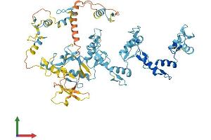 AlphaFold protein structure predicition of Human Recombinant PRDM5 Protein, UniprotID Q9NQX1