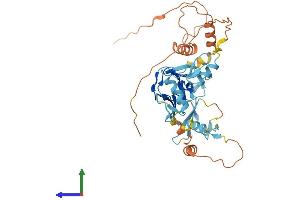 AlphaFold protein structure predicition of Mouse Recombinant Prdm12 Protein, UniprotID A2AJ77