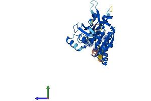 Protein Structure (PS) image for RAD51 Homolog D (RAD51D) (AA 1-328) protein (His tag) (ABIN7555113)