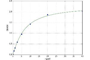 Procollagen C-Endopeptidase Enhancer (PCOLCE) ELISA Kit