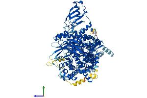 Protein Structure (PS) image for Phosphoinositide-3-Kinase, Catalytic, alpha Polypeptide (PIK3CA) (AA 1-1068) protein (His tag) (ABIN7554943)