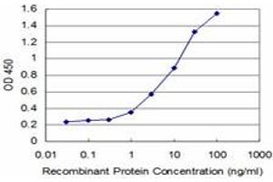 Detection limit for recombinant GST tagged TP53RK is approximately 0. (TP53RK antibody  (AA 154-253))