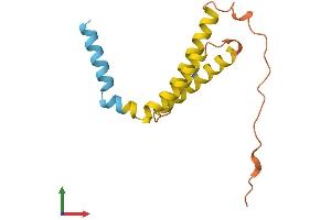AlphaFold protein structure predicition of Human Recombinant MPC1L Protein, UniprotID P0DKB6 (MPC1L Protein (AA 1-136) (His tag))