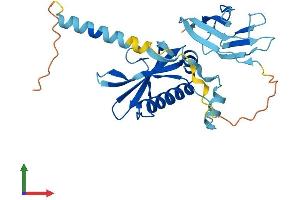 AlphaFold protein structure predicition of Mouse Recombinant Pih1d1 Protein, UniprotID Q9CQJ2 (PIH1D1 Protein (AA 1-290) (His tag))