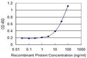 Detection limit for recombinant GST tagged HSPA4 is 1 ng/ml as a capture antibody. (HSPA4 antibody  (AA 1-148))