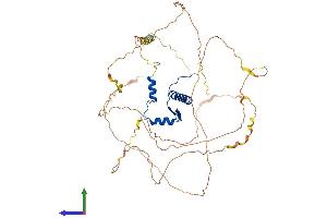 Protein Structure (PS) image for Myocyte Enhancer Factor 2D (MEF2D) (AA 1-514) protein (His tag) (ABIN7557802)