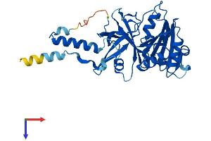 Cytochrome B5 Reductase-Like (CYB5RL) (AA 1-316) protein (His tag)