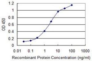 Detection limit for recombinant GST tagged KRT75 is 0. (Keratin 75 antibody  (AA 141-240))