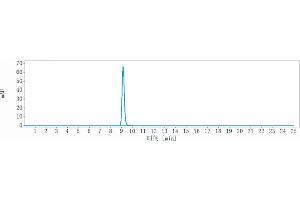 anti-PDCD1 (Budigalimab Biosimilar) antibody