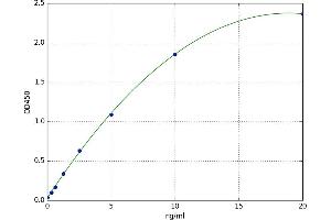 Actin, gamma 2, Smooth Muscle, Enteric (ACTG2) ELISA Kit
