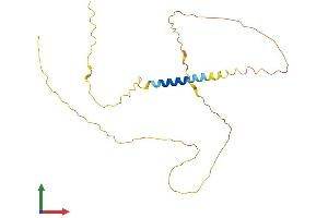 AlphaFold protein structure predicition of Human Recombinant MGARP Protein, UniprotID Q8TDB4 (C4orf49 Protein (AA 1-240) (His tag))