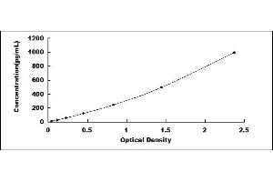 Typical standard curve (MANF ELISA Kit)