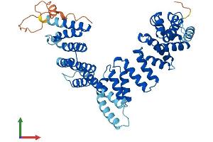 Protein Structure (PS) image for TATA Box Binding Protein (TBP)-Associated Factor, RNA Polymerase I, A, 48kDa (TAF1A) (AA 1-453) protein (His tag) (ABIN7556789)