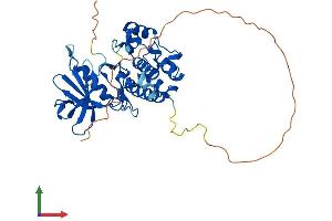 AlphaFold protein structure predicition of Human Recombinant STK17B Protein, UniprotID O94768