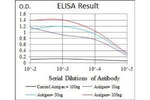Red: Control Antigen (100ng) ; Purple: Antigen (10ng) ; Green: Antigen (50ng) ; Blue: Antigen (100ng). (RAG1 antibody  (AA 818-868))
