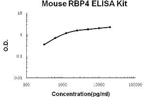 Mouse RBP4 PicoKine ELISA Kit standard curve