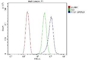 Flow Cytometry analysis of SiHa cells using anti-Aconitase 1/ACO1 antibody (ABIN7598988). (Aconitase 1 antibody  (AA 1-137))