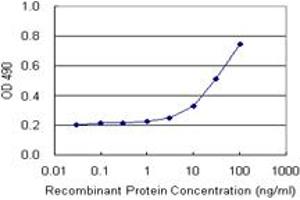 IFNA2 (Human) Matched Antibody Pair