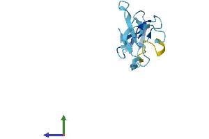 AlphaFold protein structure predicition of Human Recombinant POLR3K Protein, UniprotID Q9Y2Y1