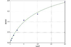 A typical standard curve
