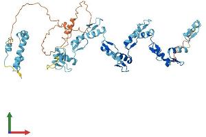 AlphaFold protein structure predicition of Human Recombinant ZNF682 Protein, UniprotID O95780 (ZNF682 Protein (AA 1-498) (His tag))