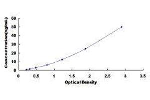 Typical standard curve (LEFTY1 ELISA Kit)