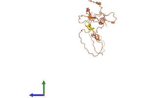 AlphaFold protein structure predicition of Human Recombinant ZNF252P-AS1 Protein, UniprotID Q0IIN9 (C8orf77 Protein (AA 1-211) (His tag))