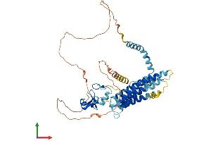 AlphaFold protein structure predicition of Human Recombinant RNFT2 Protein, UniprotID Q96EX2 (RNFT2 Protein (AA 1-444) (His tag))
