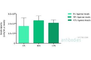 Comparison of the number of K562 cells bound to 10 µL Magnetic ConA Beads (Agarose) slurry at different concentrations. (Magnetic Concanavalin A Beads (Agarose))