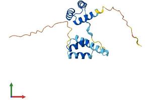 AlphaFold protein structure predicition of Human Recombinant DUX1 Protein, UniprotID O43812 (DUX1 Protein (AA 1-170) (His tag))