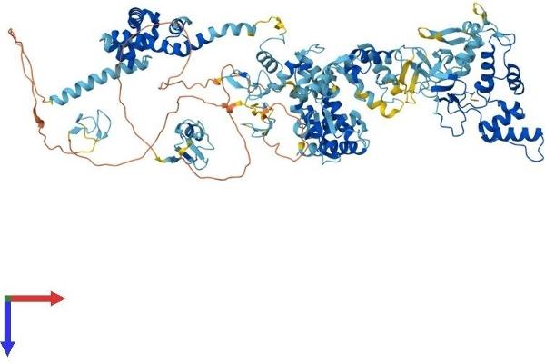RNF31 Protein (AA 1-1072) (His tag)