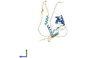 Protein Structure (PS) image for BARX Homeobox 2 (BARX2) (AA 1-283) protein (His tag) (ABIN7562190)