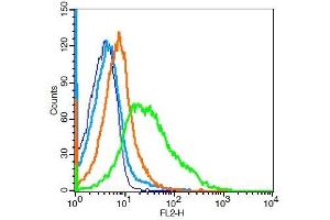 Mouse splenocytes probed with CD62L Polyclonal Antibody, Unconjugated  at 1:100 for 30 minutes followed by incubation with a PE conjugated secondary (green) for 30 minutes compared to control cells (blue), secondary only (light blue) and isotype control (orange). (L-Selectin antibody  (AA 301-372))