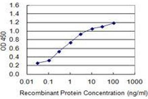 Detection limit for recombinant GST tagged FABP7 is 0. (FABP7 antibody  (AA 1-132))